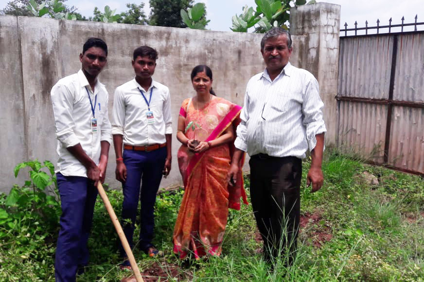 Tree Plantation Drive